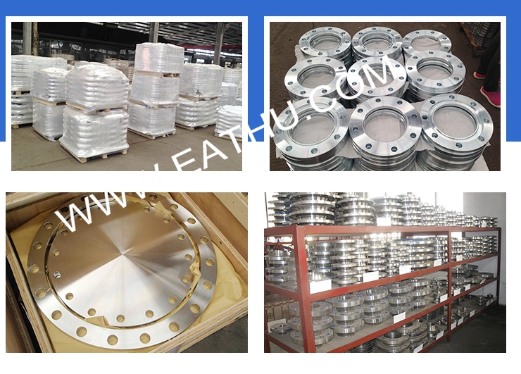 ANSI/DIN/BS Standard Forged Stainless Steel Flanges